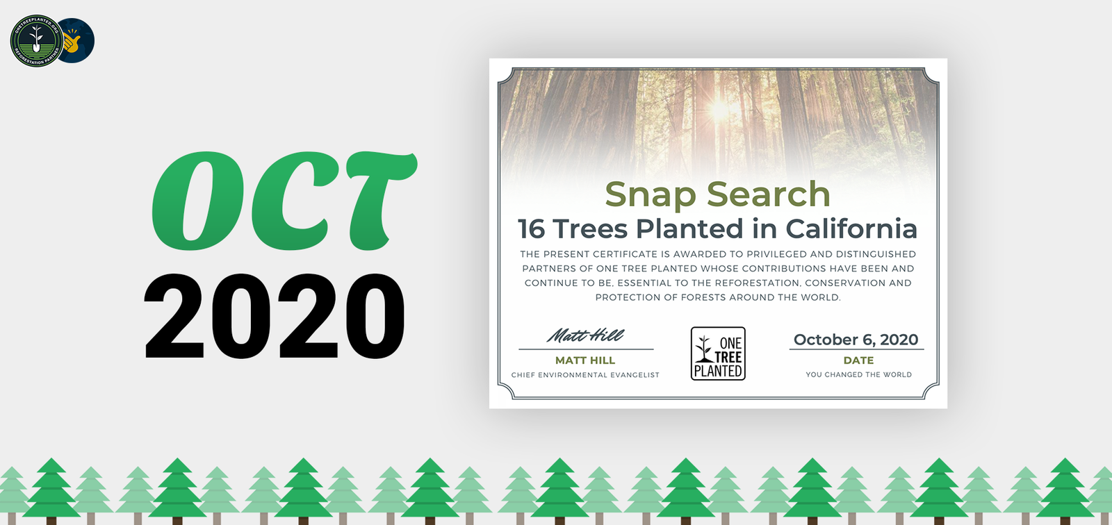 Number of trees planted in October 2020